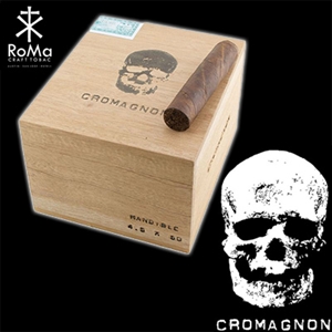 CroMagnon Cranium (Single Stick)