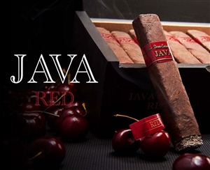 Java Red Robusto (5 Pack)